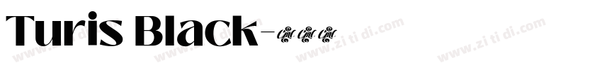 Turis Black字体转换